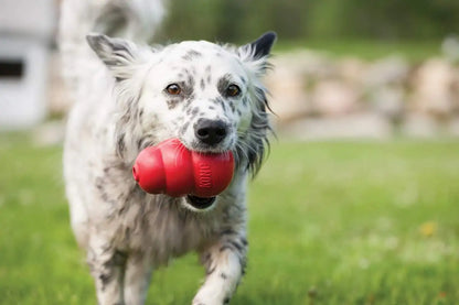 KONG Classic Dog Chew Toy