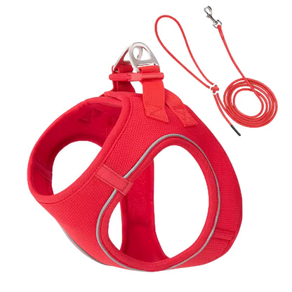 Dog Harness and Leash Set