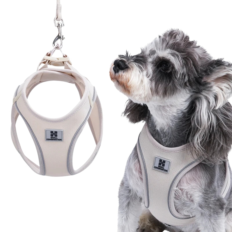 Dog Harness and Leash Set