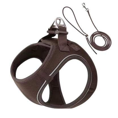 Dog Harness and Leash Set