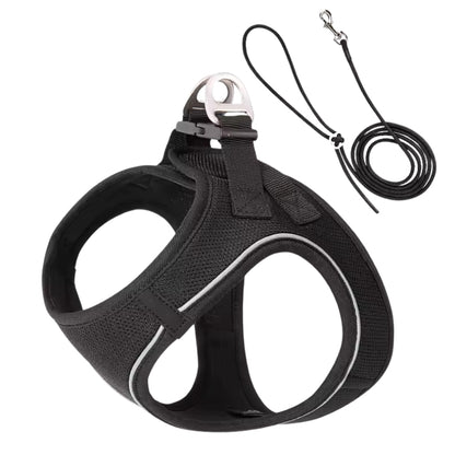 Dog Harness and Leash Set