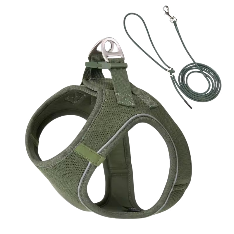 Dog Harness and Leash Set