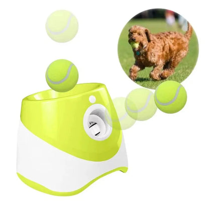 Automatic Dog Ball Launcher
