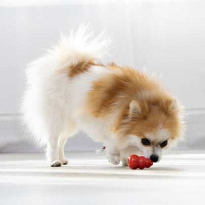 KONG Classic Dog Chew Toy